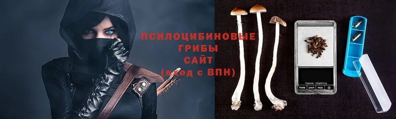 ОМГ ОМГ маркетплейс  Лянтор  Галлюциногенные грибы Psilocybine cubensis 